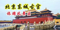 黄色视频囚禁smh抠逼捆绑中国北京-东城古宫旅游风景区
